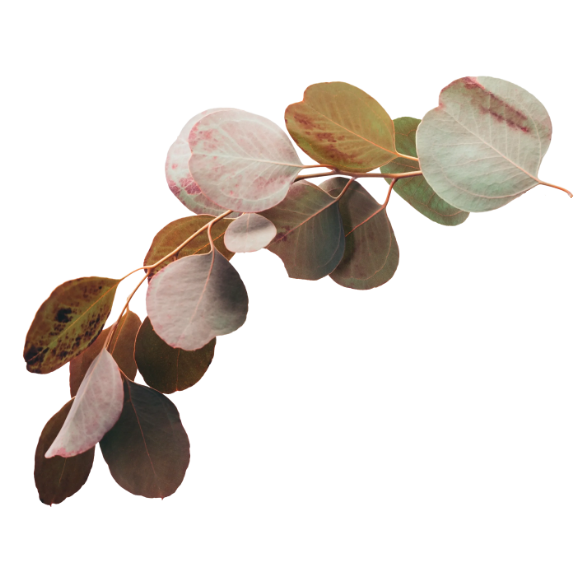 https://physio1220.at/wp-content/uploads/2024/02/ph-rechtliches-e1-b1-1.png